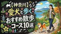【神奈川】愛犬と歩くおすすめ散歩コース10選