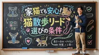 家猫でも安心！猫散歩リード選び5つの条件