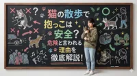 猫の散歩で抱っこは安全？危険と言われる3つの理由を徹底解説！