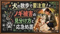 犬の散歩で要注意！ノギ被害の見分け方と応急処置